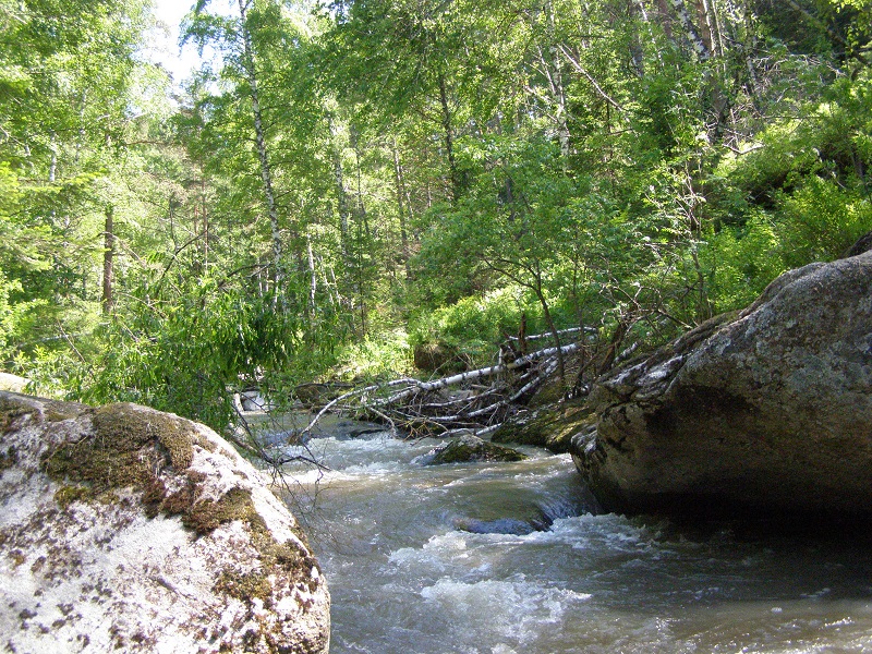 Река Белокуриха