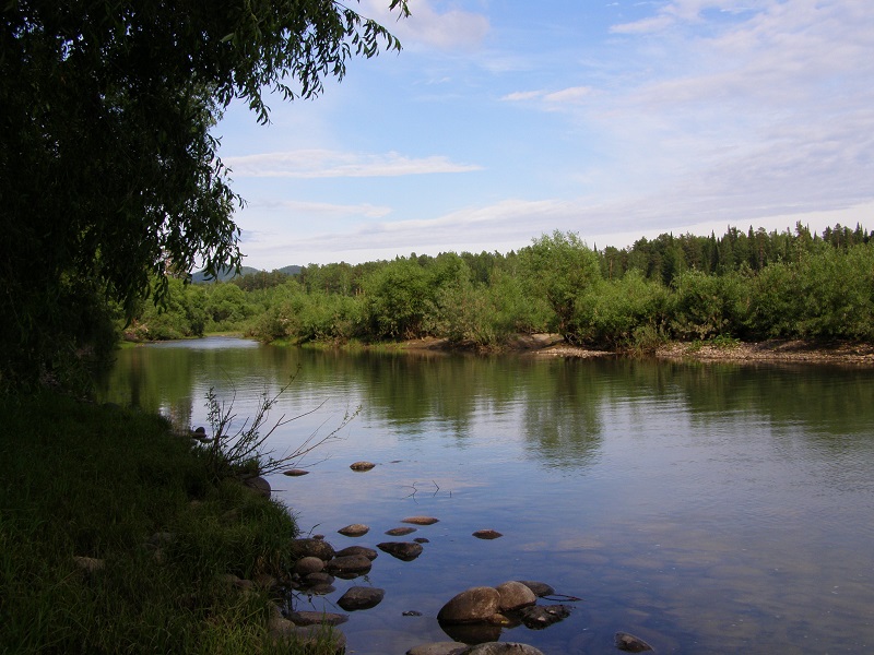 Река Лебедь