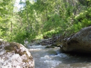 Река Белокуриха