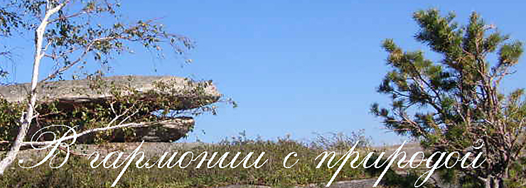 Студия ландшафтного дизайна "Аквилегия" г. Бийск